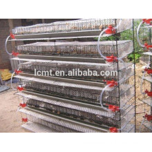 high quality quail breeding cages with automatic drinking and feeding system